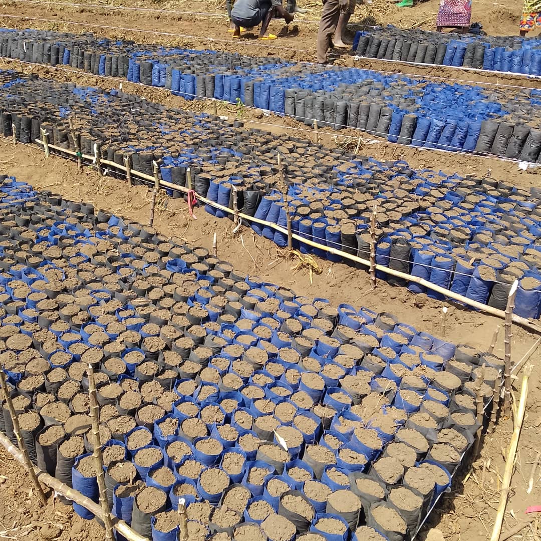 Project in Gitega